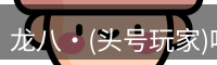 龙八头号玩家